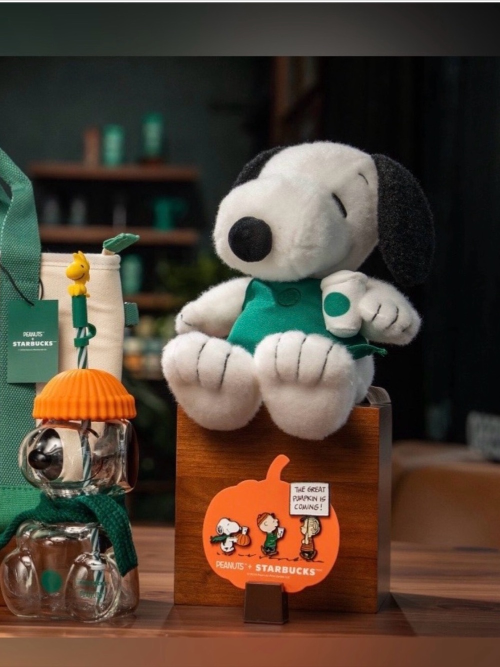 Starbucks Bundle Snoopy peanuts glass tumble, Snoopy Plush barista & pins